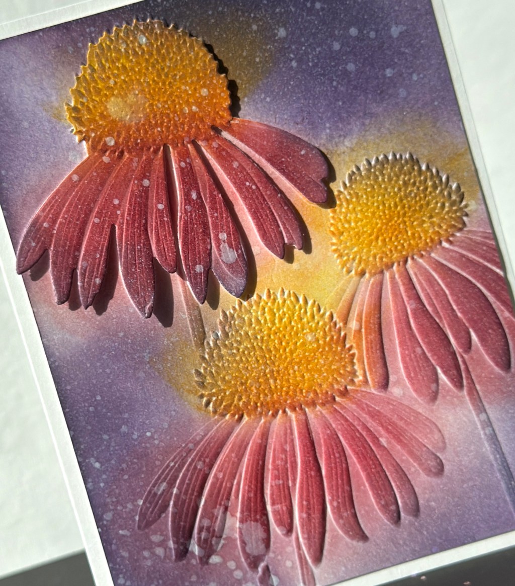 Brilliant Coneflower