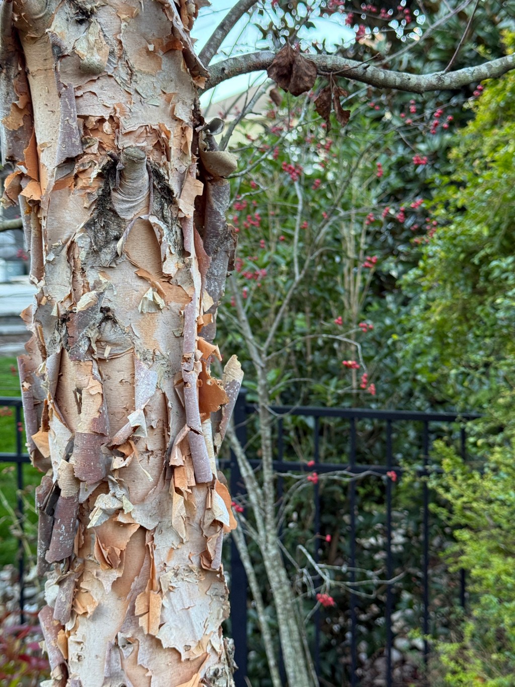 Fall Beauty, Fall&nbsp;Hopefuls