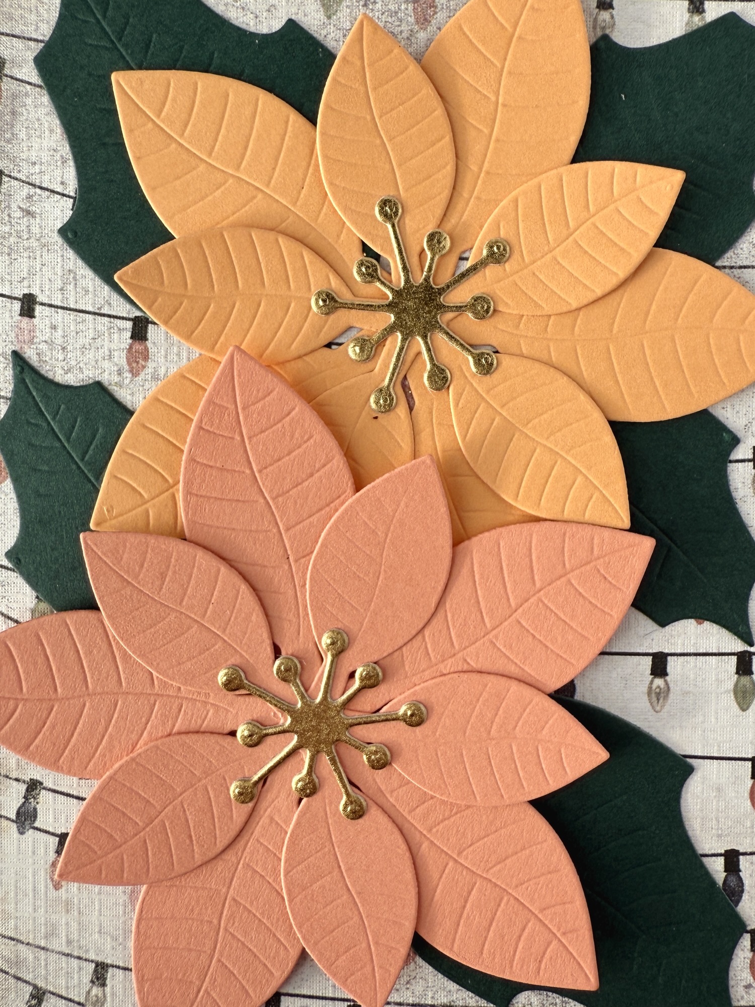 Poinsettia Theme for Holiday Cards