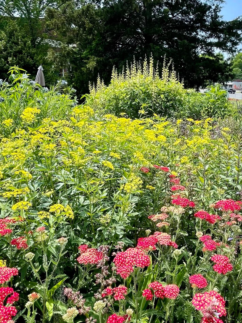 A New Native Bed:&nbsp;Inspiration