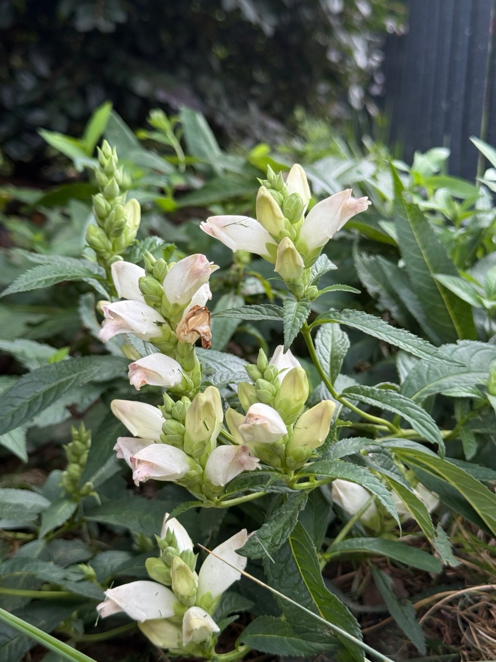 From Drought to&nbsp;Flood